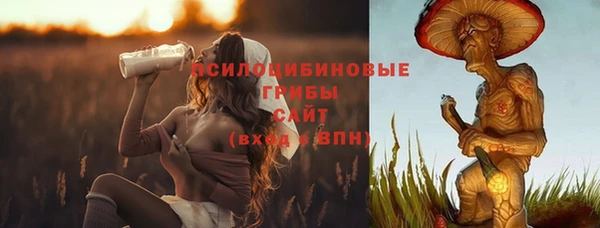 прущая мука Аркадак