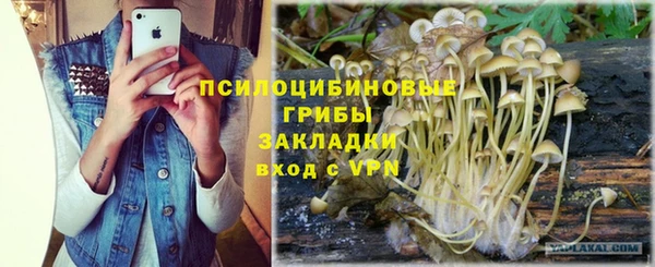 прущий лед Арсеньев