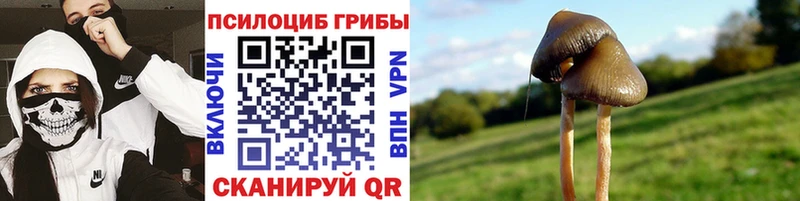 Галлюциногенные грибы прущие грибы  купить наркотик  Тутаев 